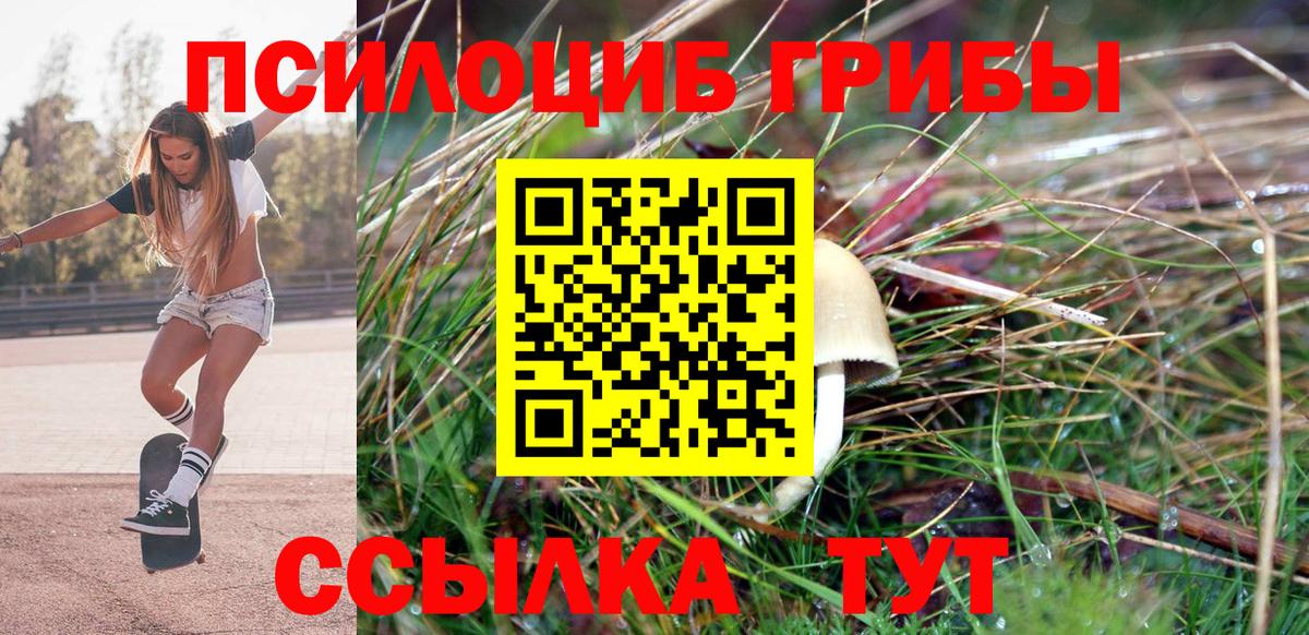 Галлюциногенные грибы мухоморы Гудермес