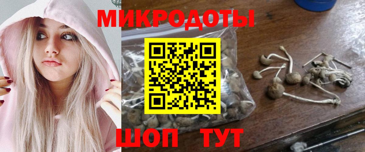 Гудермес  Псилоцибиновые грибы Psilocybine cubensis  Вход с VPN 