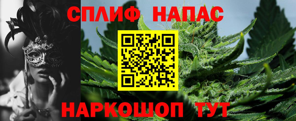 Гудермес  Бошки марихуана планчик  Канабис сатива  Вход с VPN 